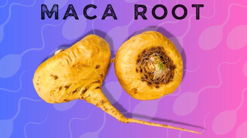 Maca Root